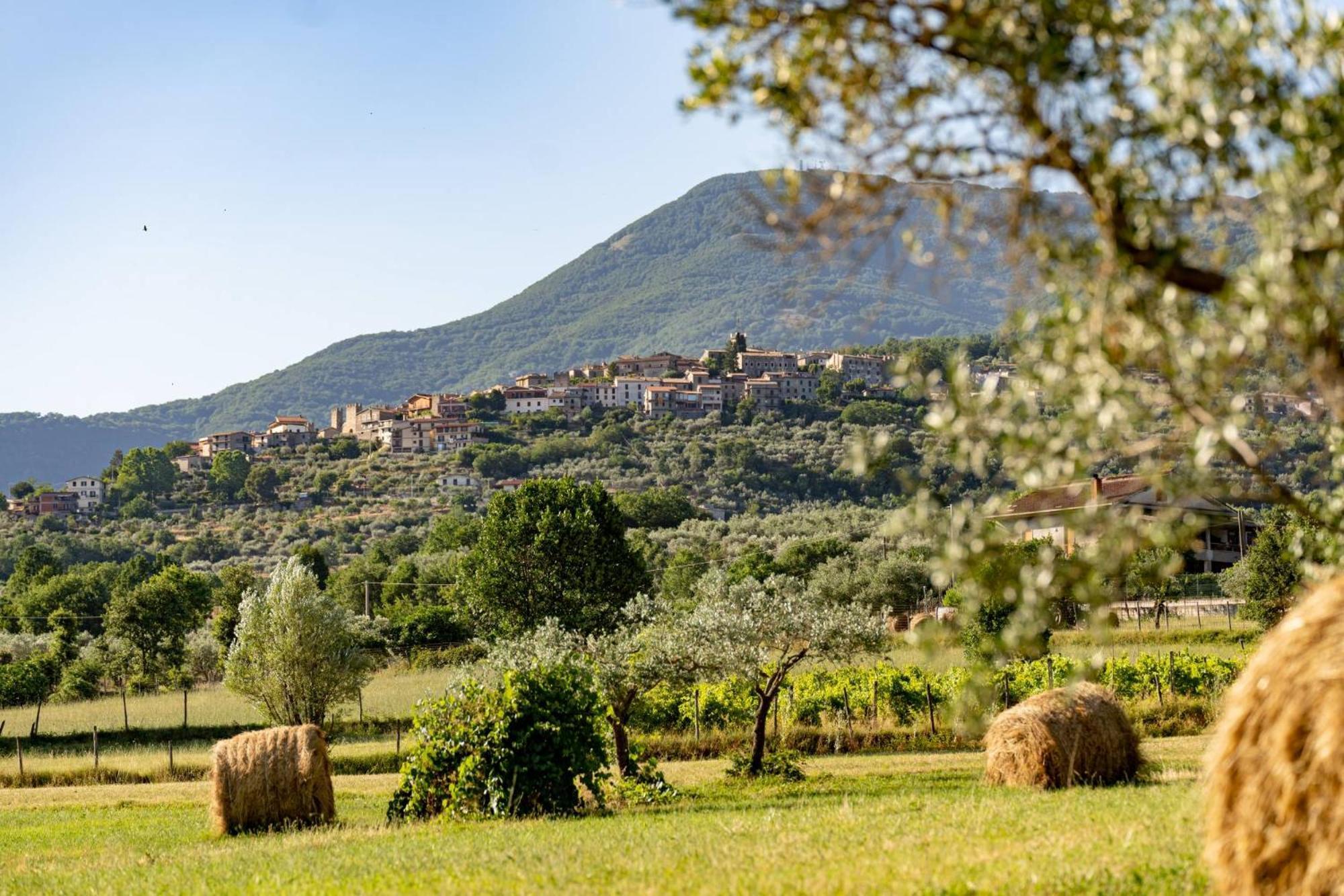 B&B Vico Suites Vico nel Lazio Extérieur photo